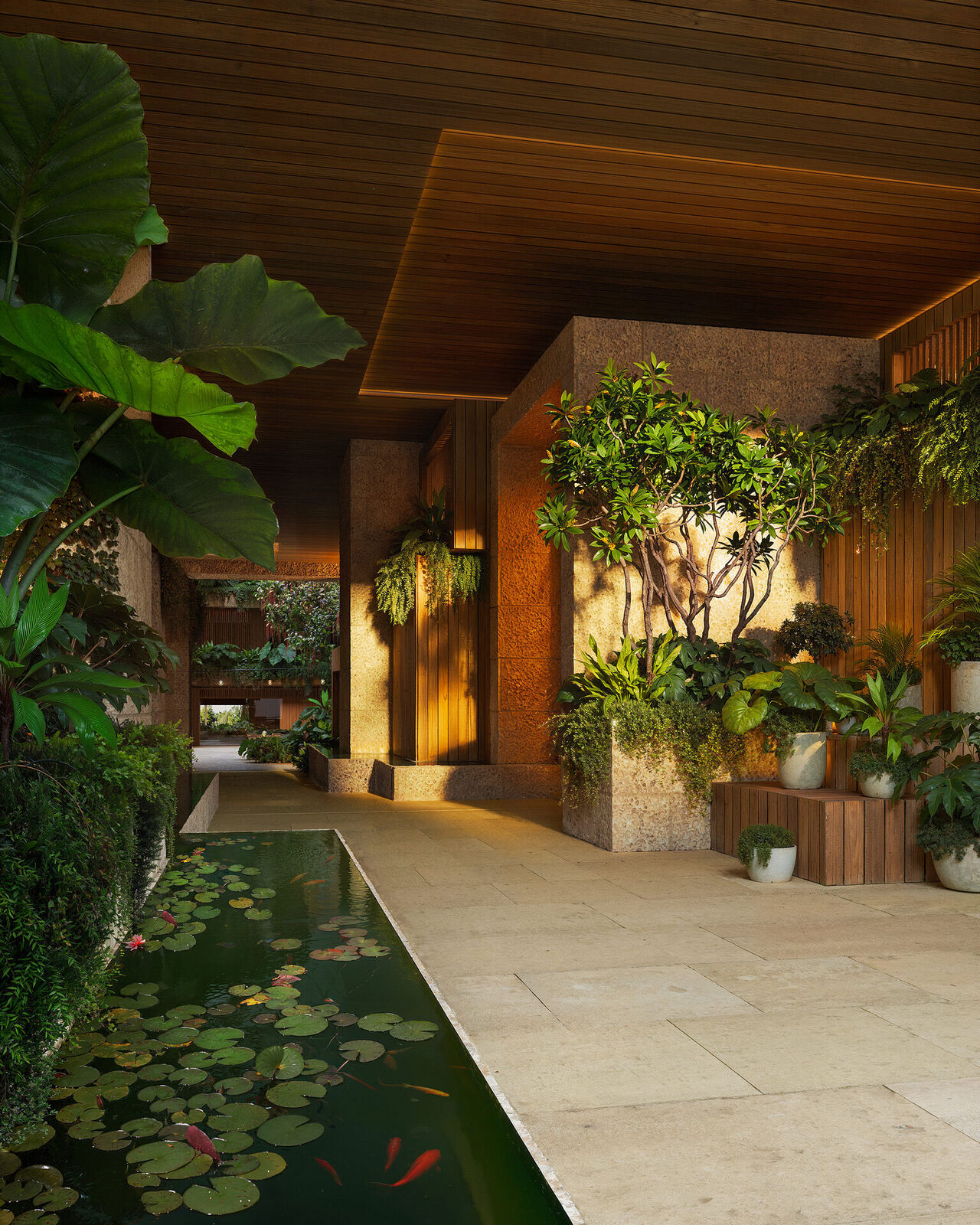 A glimpse through the cascading greenery